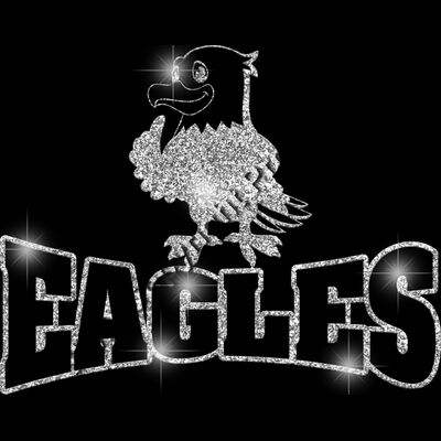 GLT32 SILVER GLITTER Thumbnail